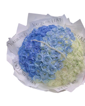 將圖片載入圖庫檢視器 C25 Blue Sky