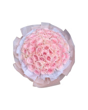 將圖片載入圖庫檢視器 C17 Oviedo