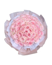 將圖片載入圖庫檢視器 C17 Oviedo