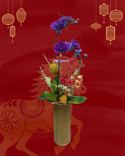 將圖片載入圖庫檢視器 P710 蝴蝶蘭2枝
