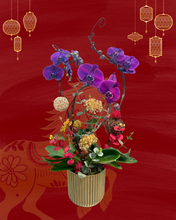 將圖片載入圖庫檢視器 P711 蝴蝶蘭3枝
