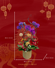 將圖片載入圖庫檢視器 P711 蝴蝶蘭3枝
