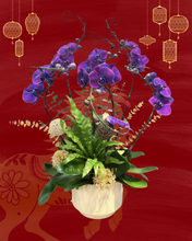 將圖片載入圖庫檢視器 P712 蝴蝶蘭6枝
