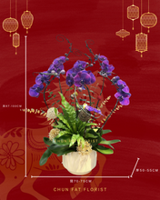 將圖片載入圖庫檢視器 P712 蝴蝶蘭6枝
