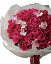 將圖片載入圖庫檢視器 C04 Light Pink
